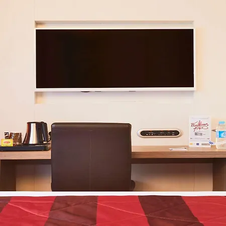 格勒诺布尔中心基里亚德酒店 格勒诺布尔